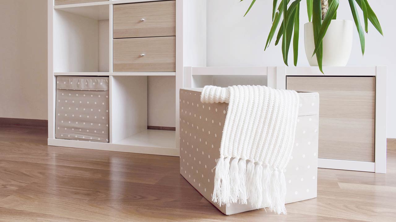 Photo of modern furniture, white shelves